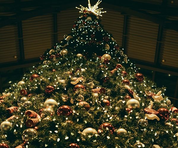 Arbre de Noël dans une salle de spectacle